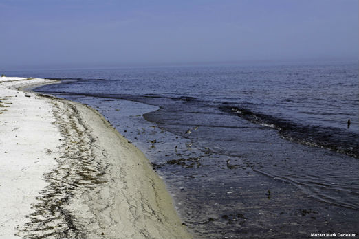 Petit Bois Sand Island